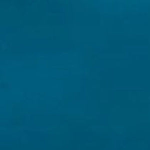 Meet your Posher, Carmen